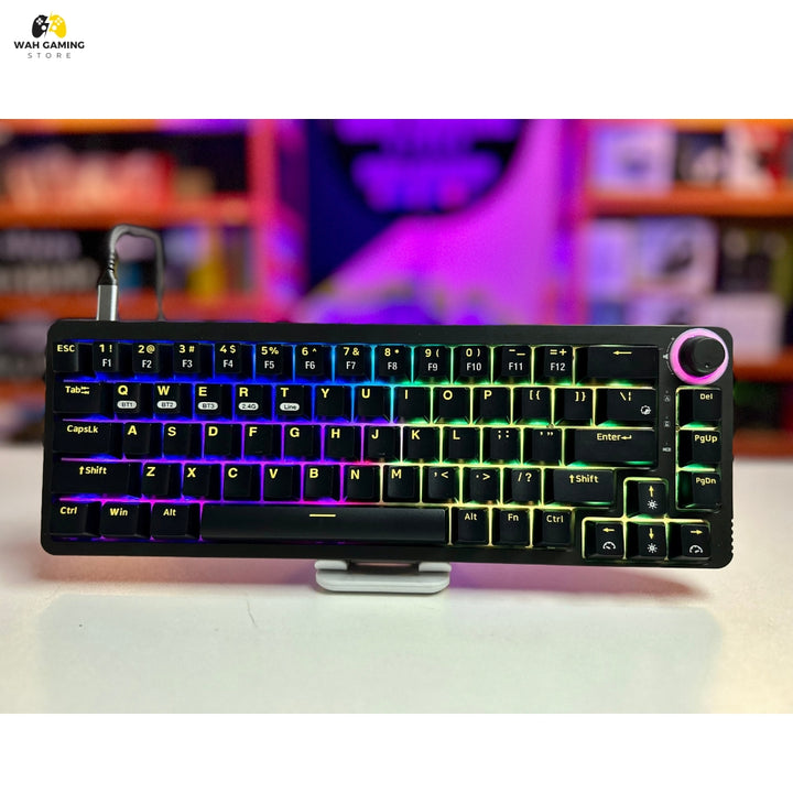 HomooKB software lighting control screen showing RGB effects